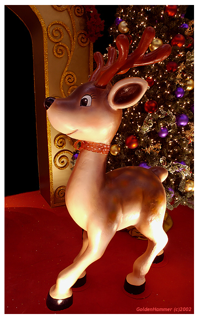 <B>Lovely Deer</B><BR><FONT size=1>by GoldenHammer</FONT>