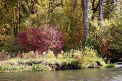 10-15 color across the river 0600.jpg