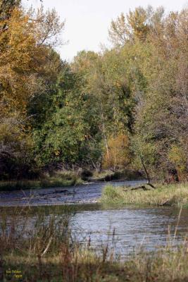 10-15 mosquitoe flats up 0595.jpg
