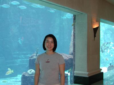 huuuge aquarium in Atlantis