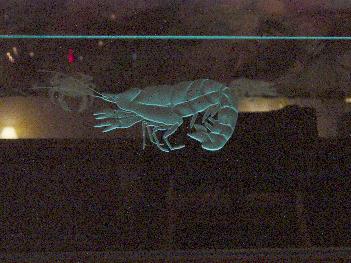 glass etching