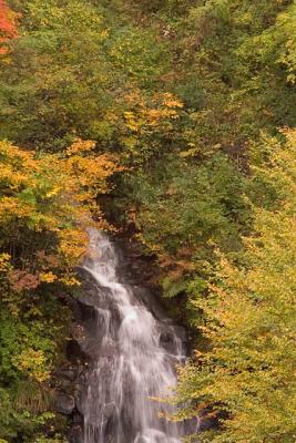 CRW_0322_shrp_v2.jpg