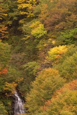 CRW_0324_shrp.jpg