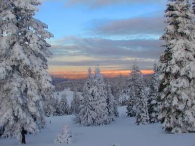 dec sunrise.jpg