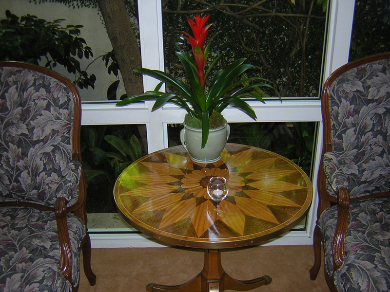 Fancy Table and Plant