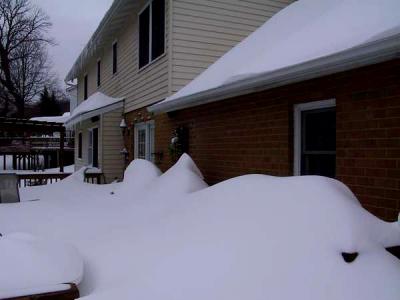 There's a barbeque grill under there somewhere.