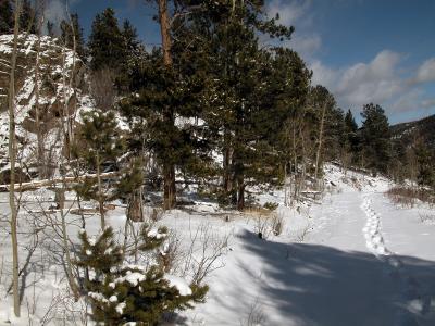 DSCN2880-JPG.jpg