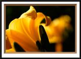 IMG_1843.jpg