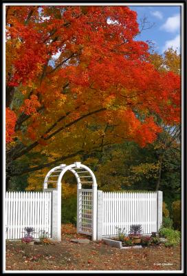 u21/traderboynh/medium/35131336.foliage0948.jpg