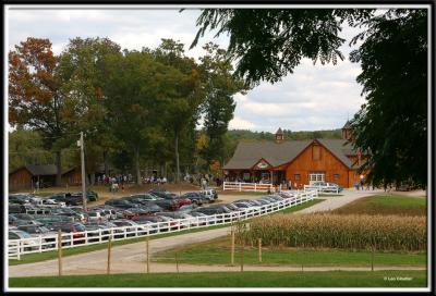 u21/traderboynh/medium/35131570.foliage0950.jpg