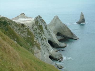 22-gannets.JPG