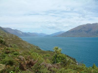 40-lake-wanaka.JPG