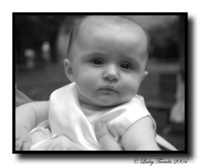 niece1nov2.jpg
