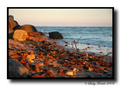 Golden-pebbles.jpg