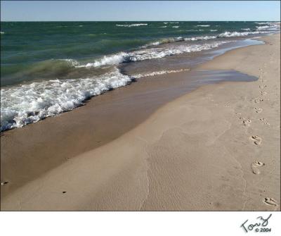 Grand Mere State Park  Lake Michigan Waves