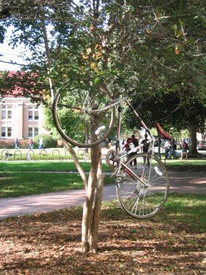 Bike in a tree too.