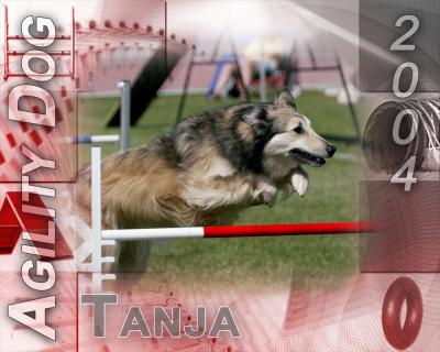 Tanja - Agility Dog