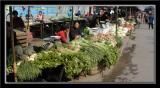 Vegetable Market