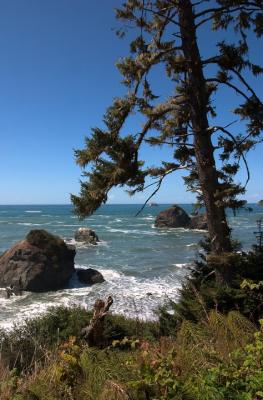 CA coast near Trinidad.jpg