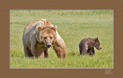sowandcub4email.jpg
