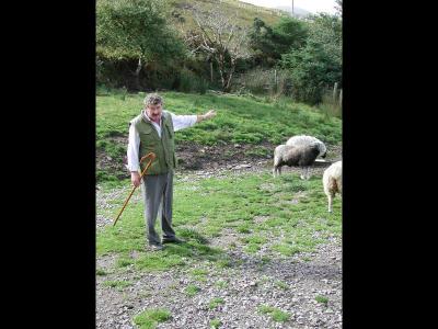 Ireland - Sheep Dog Man