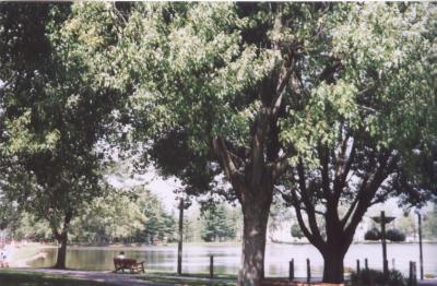 darienlake2.jpg