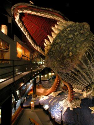  Giant whale diaorama.