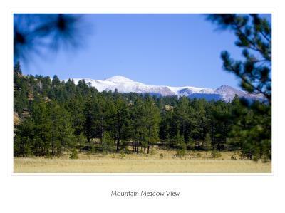Mountain Meadow View