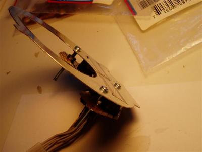 P8240219 (Medium).JPG