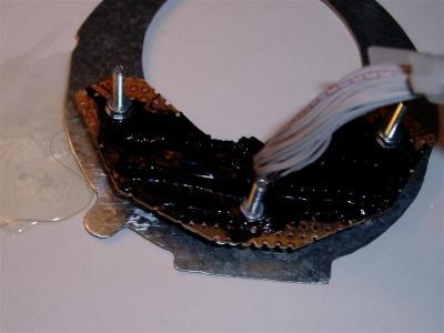 P8240222 (Medium).JPG