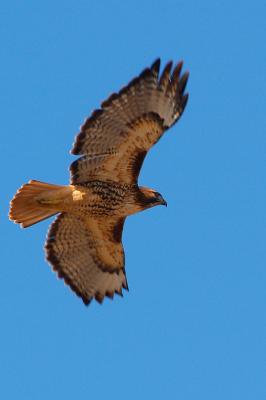 DH016651-M3x2.jpg