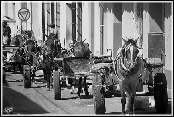 CUBA_069_B01.JPG