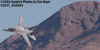 USN F-14D Tomcat AD/165 at the 2004 Aviation Nation practice Air Show stock photo #2247