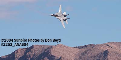 USN F-14D Tomcat AD/165 at the 2004 Aviation Nation practice Air Show stock photo #2253