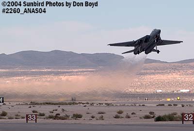 USN F-14D Tomcat AD/165 at the 2004 Aviation Nation practice Air Show stock photo #2260