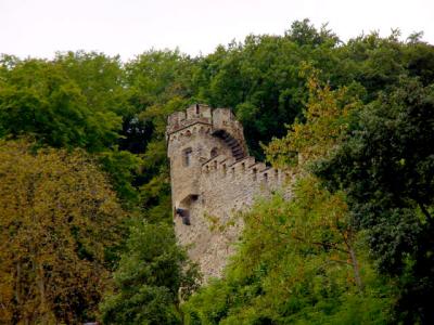 Rhein Castle 6.jpg