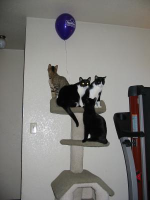 Balloon.jpg