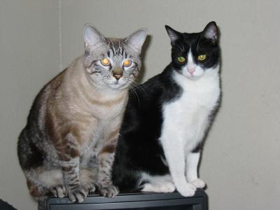 The Boys pose.jpg