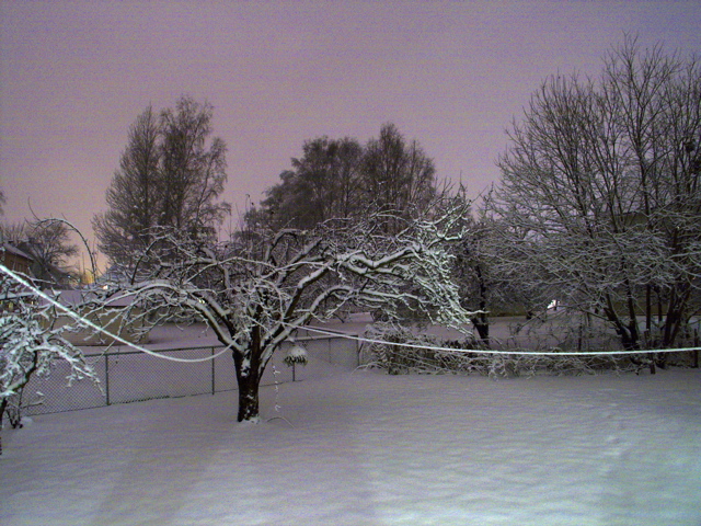CRW_3039.jpg