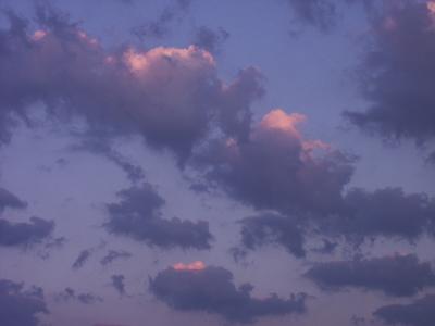sky0119.jpg