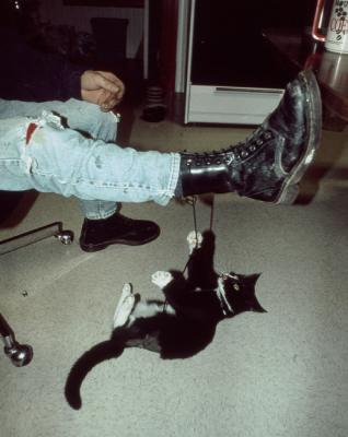 Matt,cat,'96-3.jpg