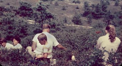berry-picking,'54-1.jpg