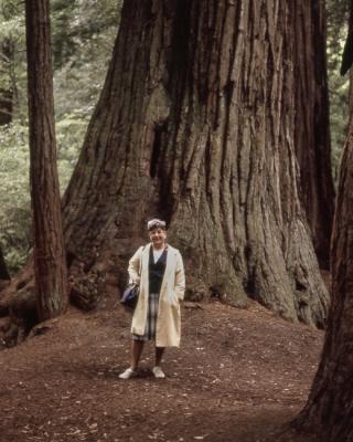 Ethel,redwoods-'63.jpg