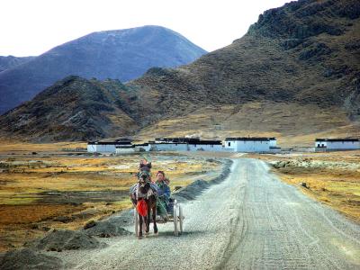 Tibet - Horse cart