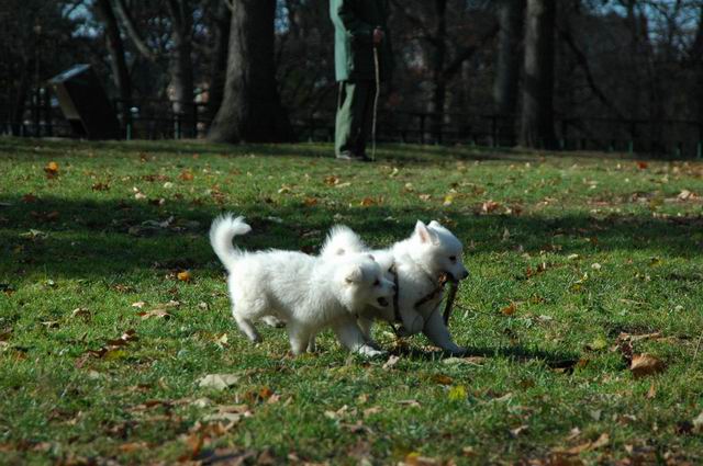 Nov21_04_280.JPG
