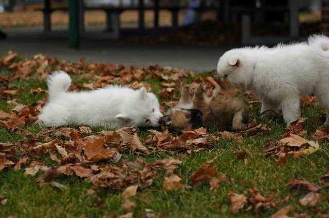 Nov23a_04_299.JPG