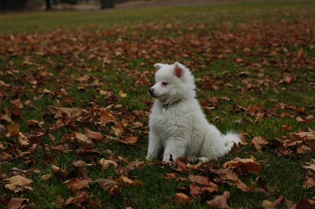 Nov23a_04_315.JPG