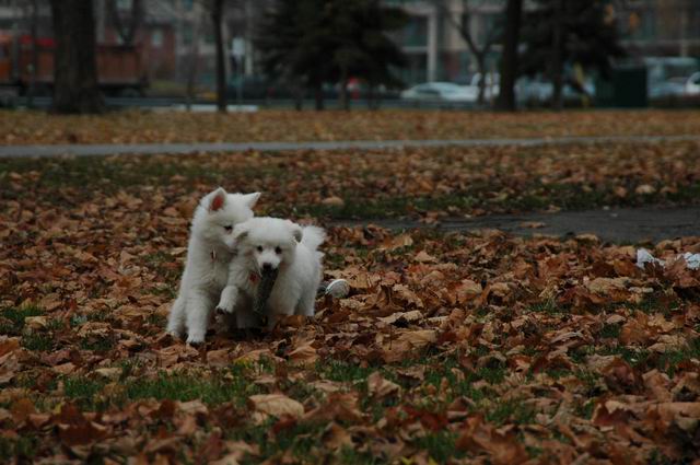 Nov23a_04_357.JPG