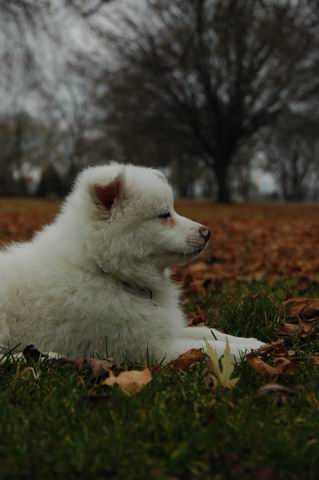 Nov23a_04_428.JPG