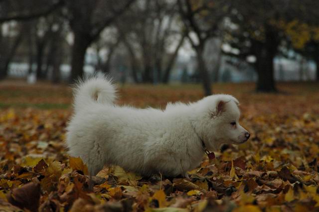 Nov23a_04_448.JPG